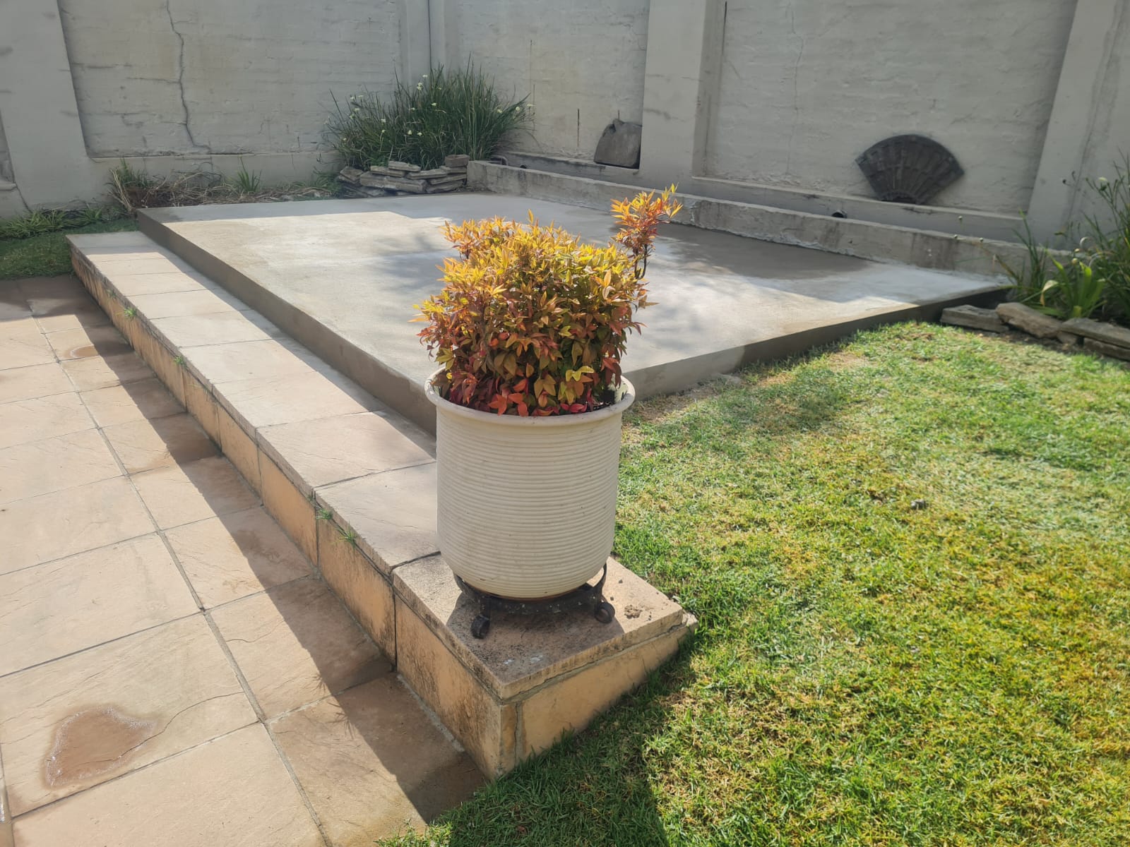 Backyard with concrete slab, tiled steps, and outdoor improvements
